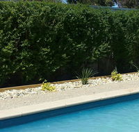 Robinvale Bridge Motel - Accommodation Brisbane