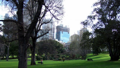 Executive Stay Little Collins Street - Accommodation Brisbane 18