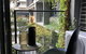 Rose Lane Serviced Apartment - thumb 9