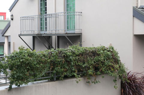 Quality Inn & Suites The Menzies - Accommodation Brisbane 23