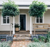 Acre of Roses - Accommodation Brisbane