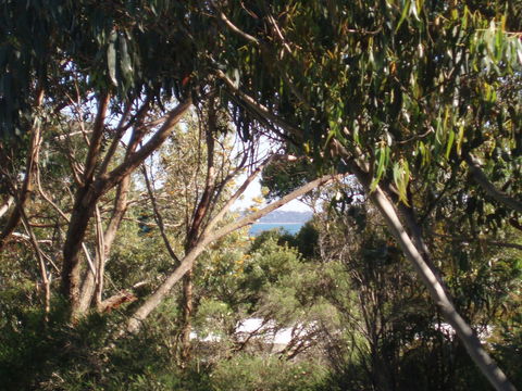 Aloha Ha Phillip Island - Accommodation Brisbane 24