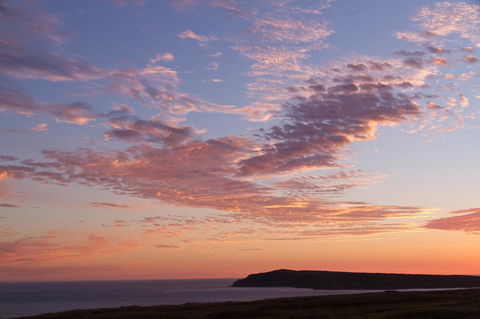Arcadia Phillip Island - Accommodation Brisbane 16
