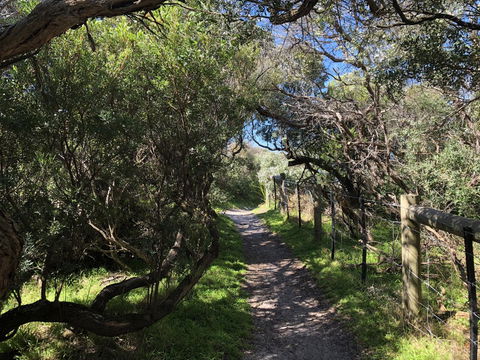 Beautiful, Cosy And Quiet - Accommodation Brisbane 20