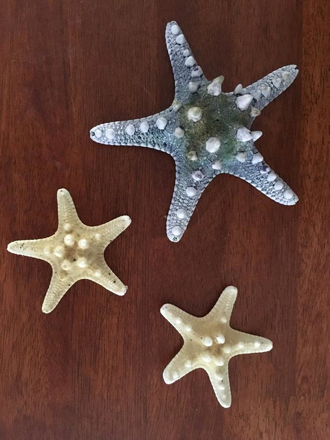 Ocean View Beach House - Accommodation Brisbane 2