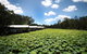 The Boathouses At Leaves & Fishes - thumb 0