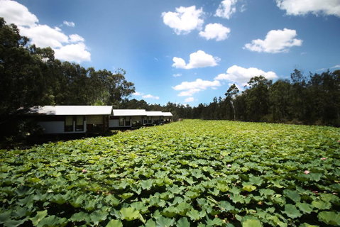 The Boathouses At Leaves & Fishes - Accommodation Brisbane 0