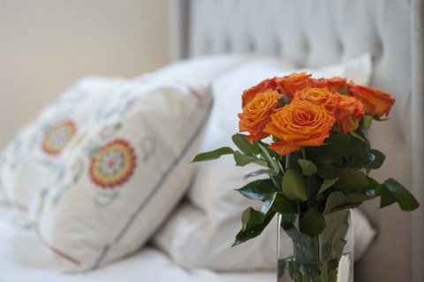 The Nest At Gundaroo - Accommodation Brisbane 1