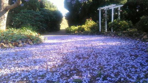 The Old Church Bed And Breakfast - Accommodation Brisbane 2