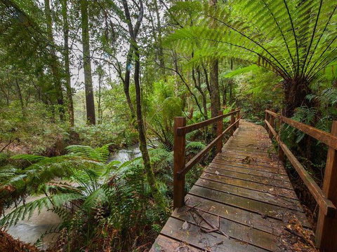 The Source, Otways - Accommodation Brisbane 0