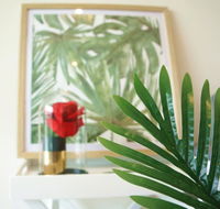 Tropical Delight 1 bedroom apt - Accommodation Brisbane