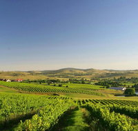 Turners Vineyard Motel - Accommodation Brisbane