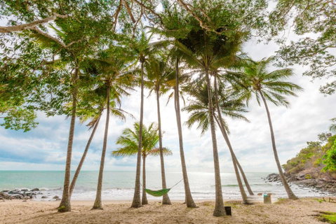 Turtle Cove Beach Resort - Adults Only LGBTQIA & Allies - Accommodation Brisbane 3