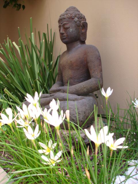 Villa Baci - Accommodation Brisbane 3