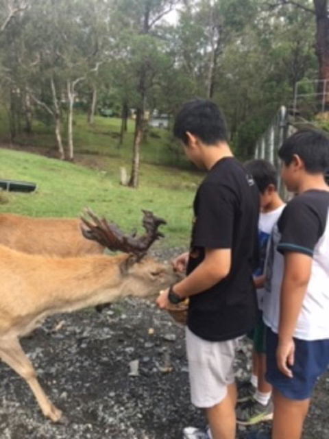 Villa Cervi Property - Accommodation Brisbane 3