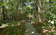 Villa Frangipani - thumb 2