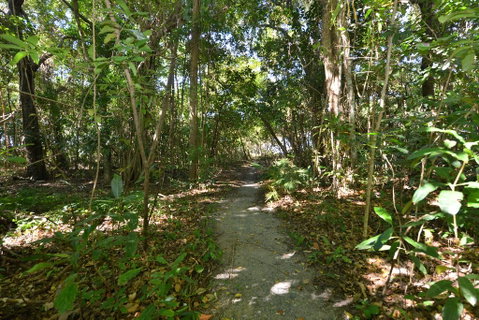 Villa Frangipani - Accommodation Brisbane 2