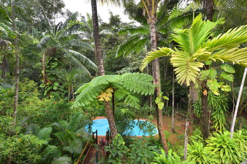 Wait A While Daintree - Accommodation Brisbane 3