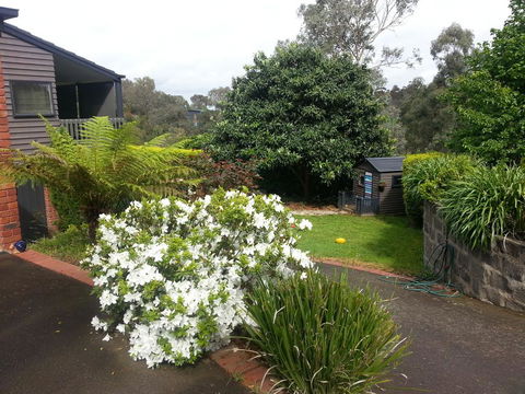 Warrandyte Retreat Guest House - Accommodation Brisbane 0