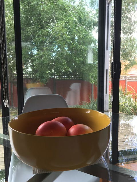 Daydream Cottage - Accommodation Brisbane 19