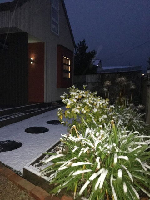 Daydream Cottage - Accommodation Brisbane 17