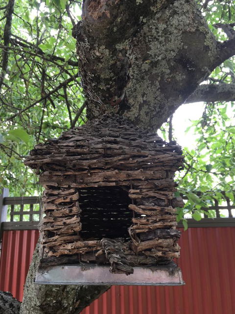 Daydream Cottage - Accommodation Brisbane 18