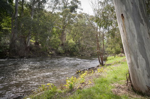 Oscar\'s On The Yarra - Accommodation Brisbane 23