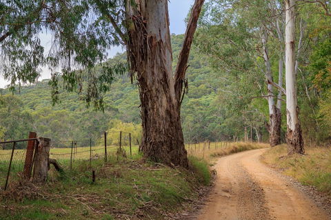 Alpine Aspects - Accommodation Brisbane 10