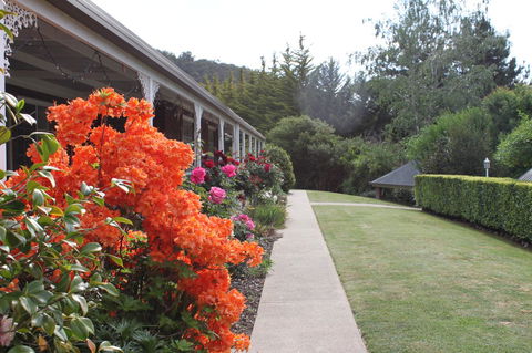 Alpine Aspects - Accommodation Brisbane 34