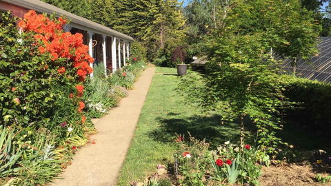 Alpine Aspects - Accommodation Brisbane 4