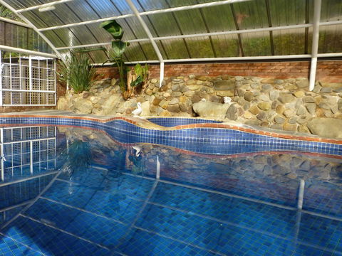 Alpine Aspects - Accommodation Brisbane 39