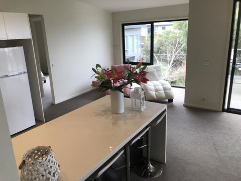 Lorne Sea View Terrace House - Accommodation Brisbane 43