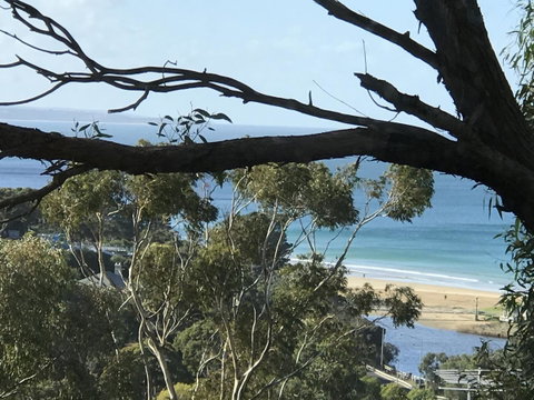 Lorne Sea View Terrace House - Accommodation Brisbane 10
