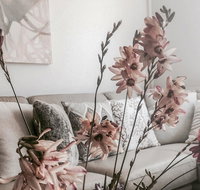 Bed of Roses - Accommodation Brisbane