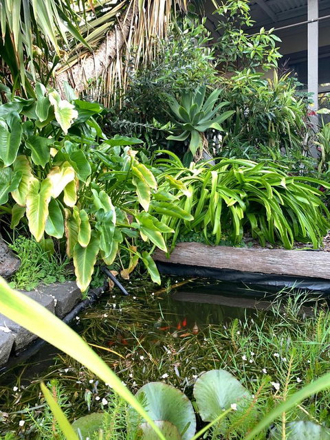 Sunryes Beach House - Accommodation Brisbane 30