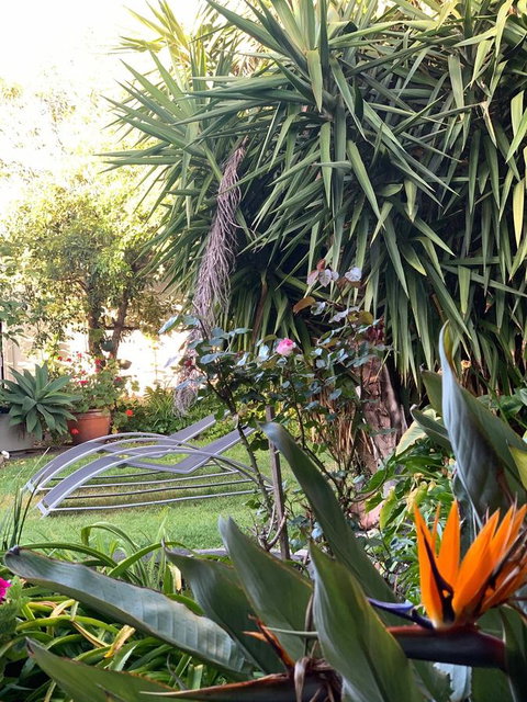 Sunryes Beach House - Accommodation Brisbane 32