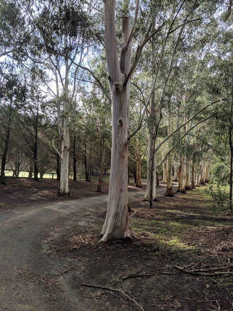 Kangaroo Manor - Accommodation Brisbane 10