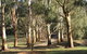 Kangaroo Manor - thumb 21