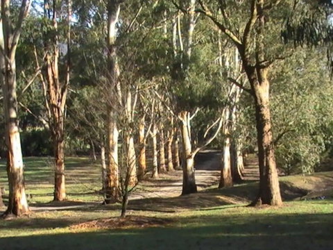 Kangaroo Manor - Accommodation Brisbane 21