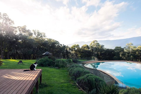 Kangaroo Manor - Accommodation Brisbane 23
