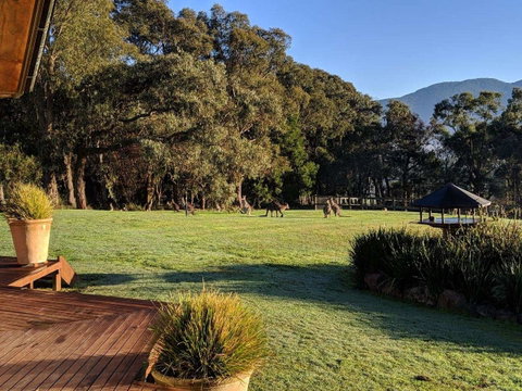 Kangaroo Manor - Accommodation Brisbane 5