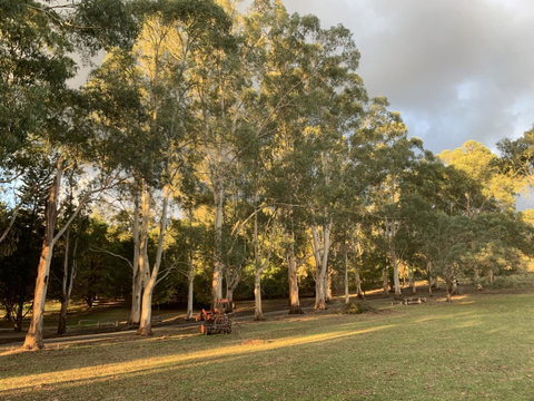 Kangaroo Manor - Accommodation Brisbane 15