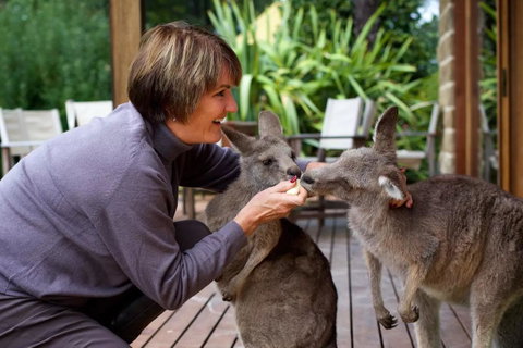 Kangaroo Manor - Accommodation Brisbane 20