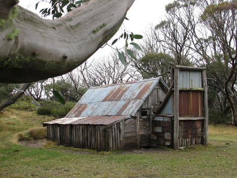 Allamar Motel - Accommodation Brisbane 44