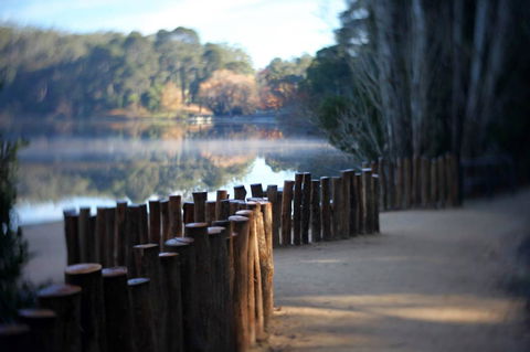 Minni Gums - Accommodation Brisbane 4