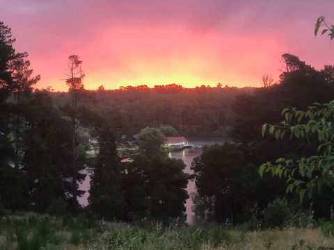 Minni Gums - Accommodation Brisbane 2