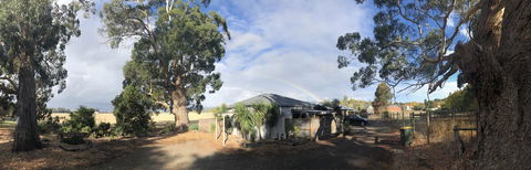 Minni Gums - Accommodation Brisbane 11