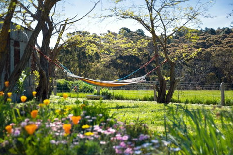 Cabrito - Accommodation Brisbane 3