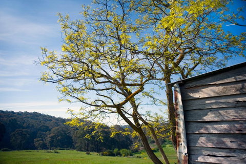 Cabrito - Accommodation Brisbane 9