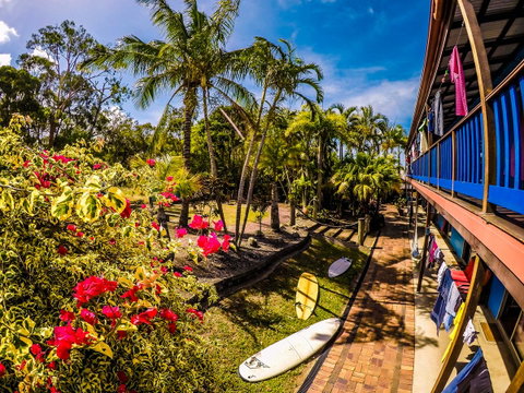 Cool Bananas Backpackers - Accommodation Brisbane 17